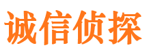 任城市侦探调查公司